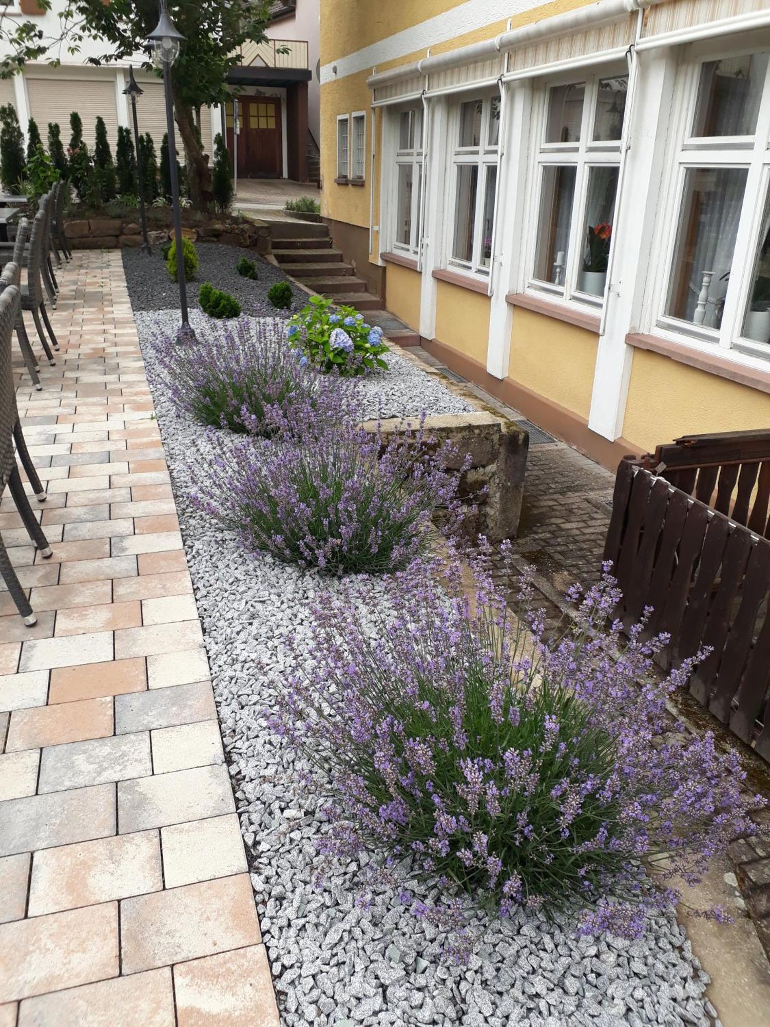 Hotel Eleon Bad Teinach-Zavelstein Exterior foto